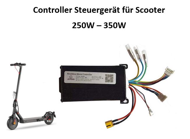 Controller Steuergerät 250W - 350W für E-Scooter